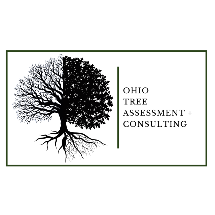 Ohio Tree Assessment Logo